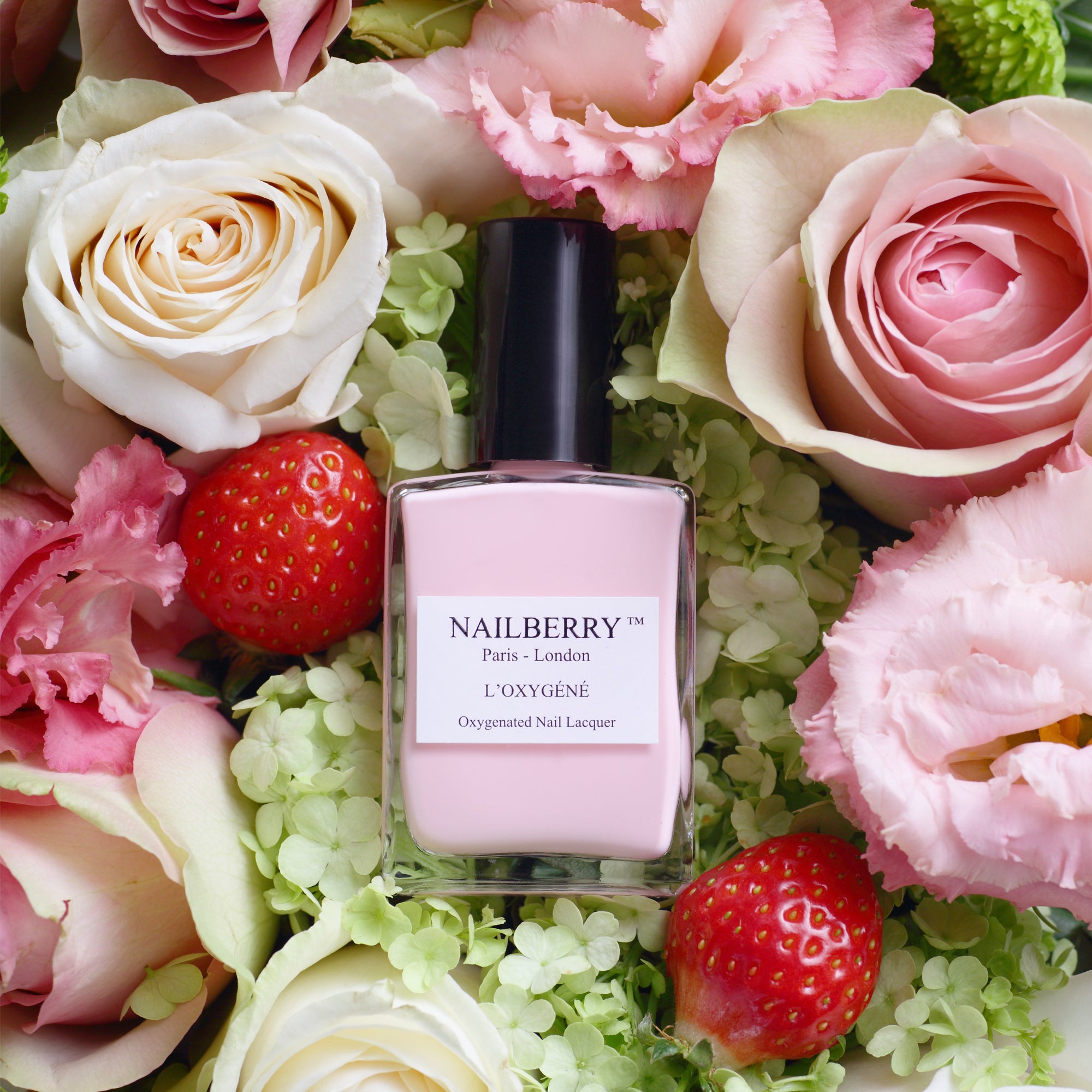 Progressive Polishes our sustainable approach to beauty Nailberry