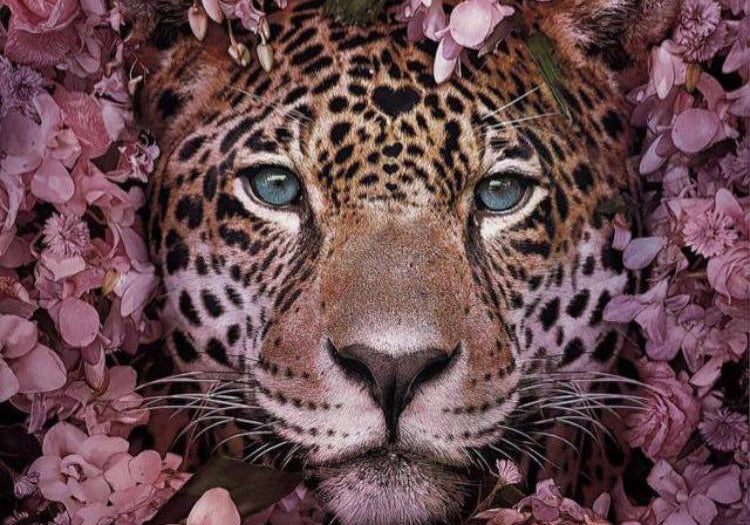 Giving back does good | Our passion and support for animal welfare