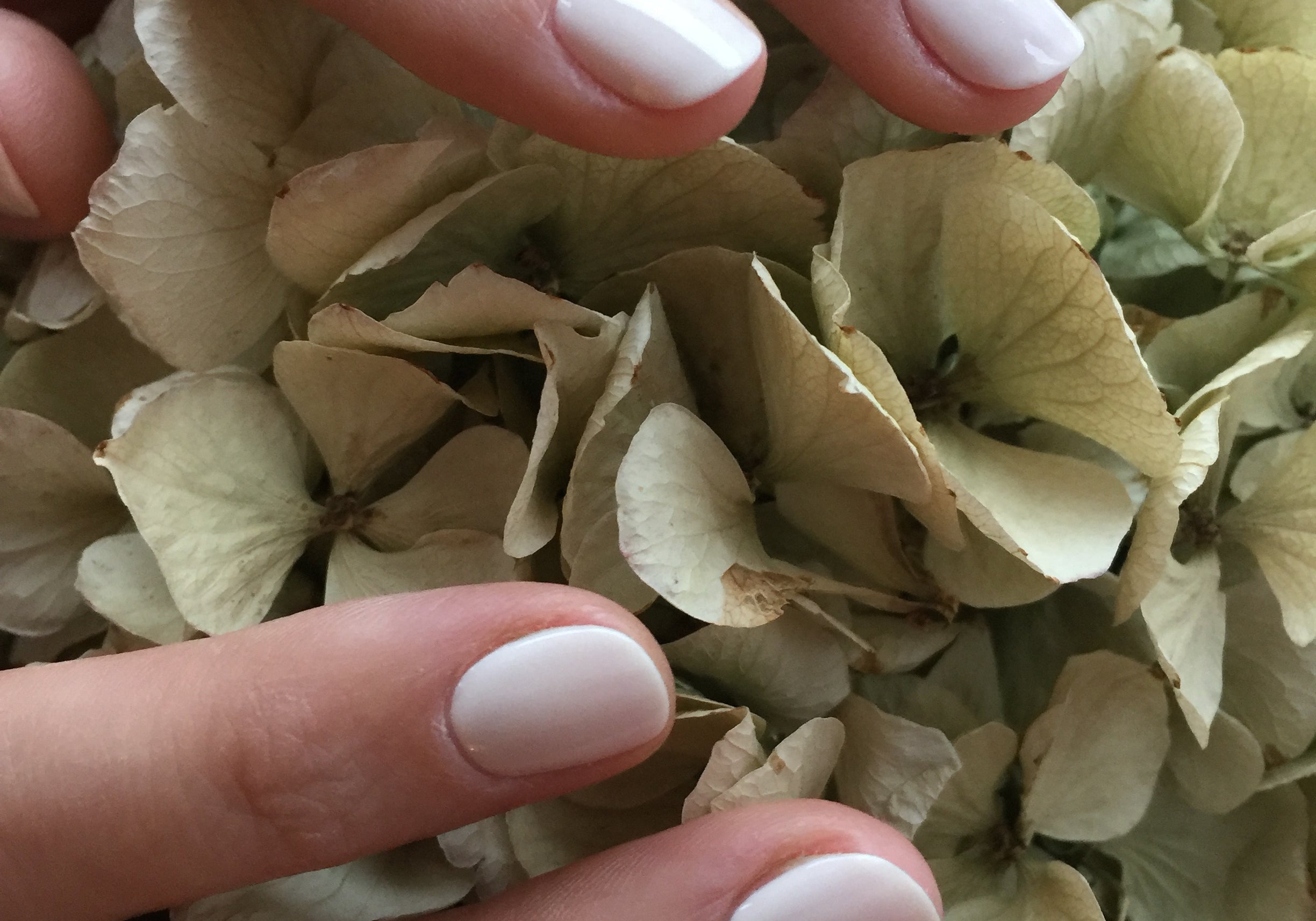 Nailberry | Behind our Halal certification